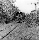 PRR Local Freight, #1 of 2, c. 1953